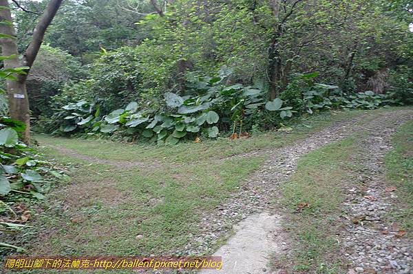 P1330619.jpg P1330619.jpg