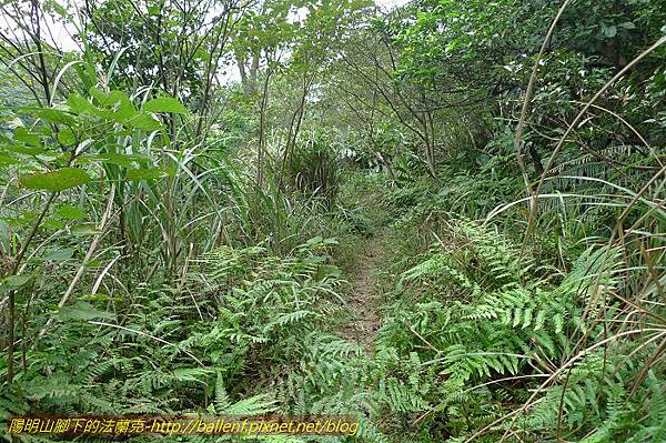 P1330623.jpg P1330623.jpg