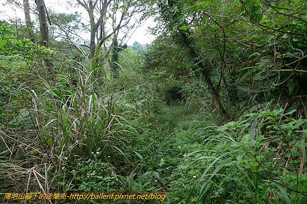 P1330626.jpg P1330626.jpg