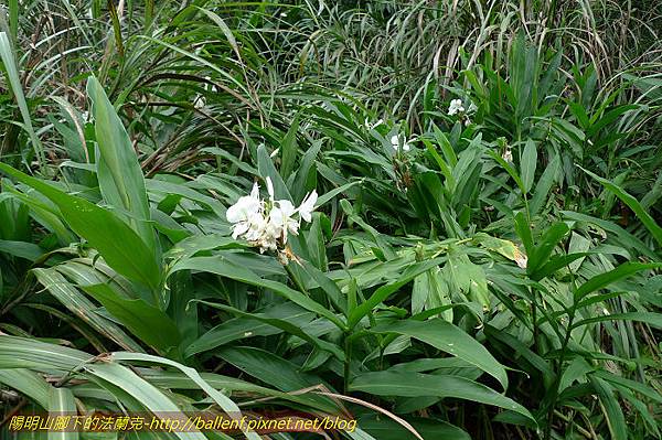 P1330627.jpg P1330627.jpg