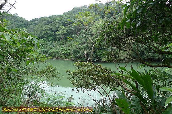 P1330629.jpg P1330629.jpg