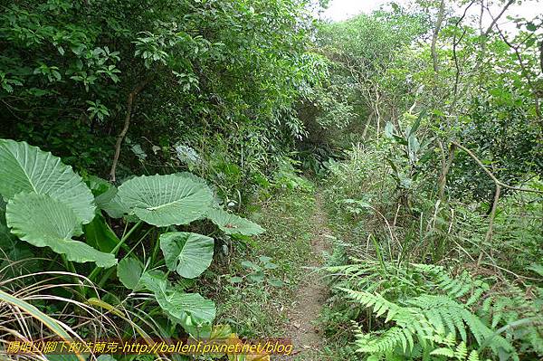 P1330630.jpg P1330630.jpg