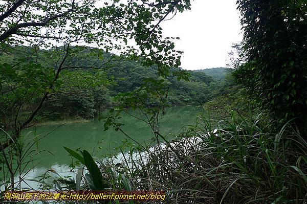 P1330631.jpg P1330631.jpg