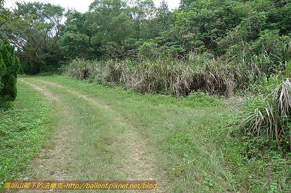 P1330636.jpg P1330636.jpg