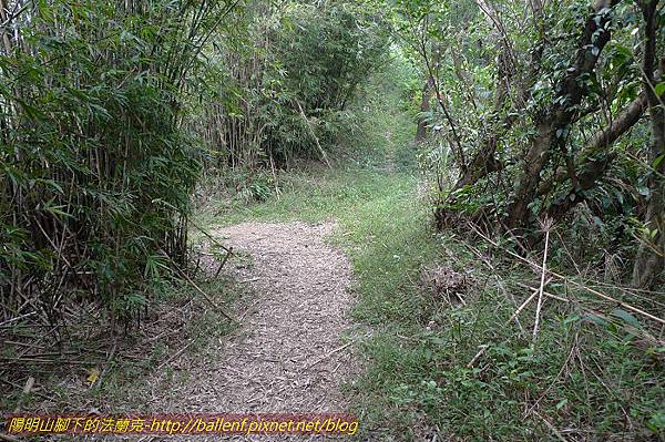 P1330643.jpg P1330643.jpg