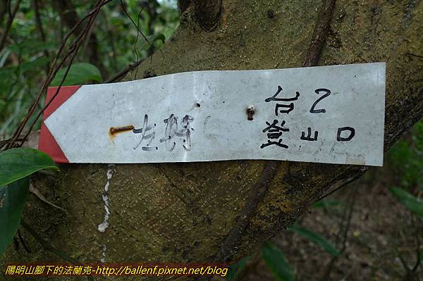 P1330644.jpg P1330644.jpg