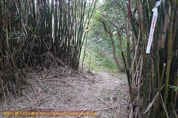 P1330646.jpg P1330646.jpg