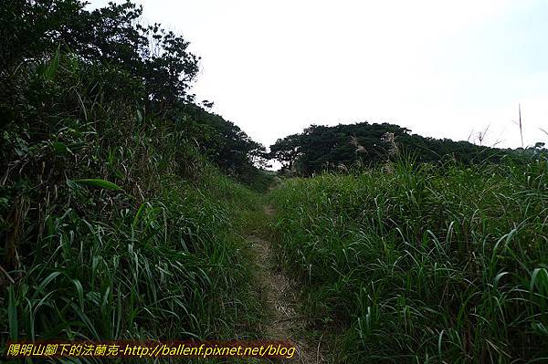 P1330647.jpg P1330647.jpg