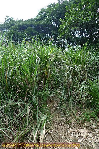 P1330653.jpg P1330653.jpg