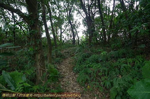 P1330654.jpg P1330654.jpg