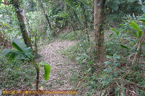 P1330655.jpg P1330655.jpg