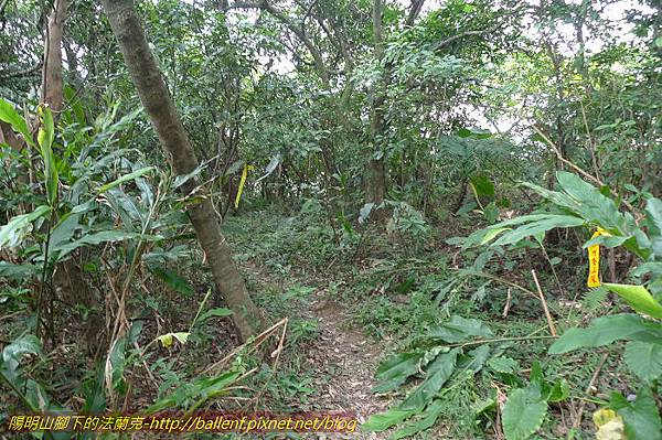 P1330659.jpg P1330659.jpg