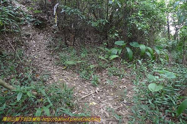 P1330660.jpg P1330660.jpg