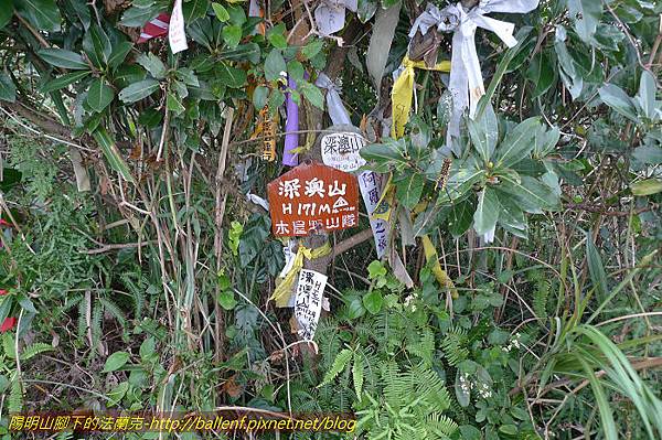 P1330664.jpg P1330664.jpg