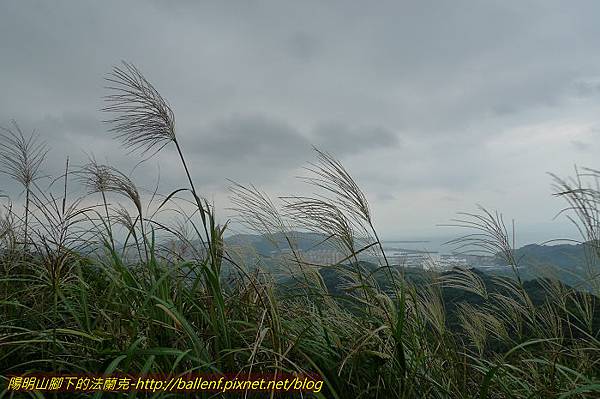 P1330668.jpg P1330668.jpg