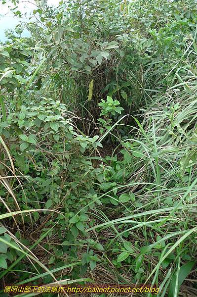 P1330670.jpg P1330670.jpg