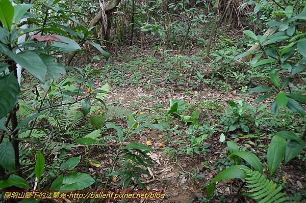 P1330671.jpg P1330671.jpg