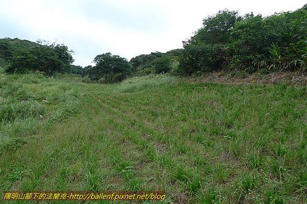 P1330675.jpg P1330675.jpg