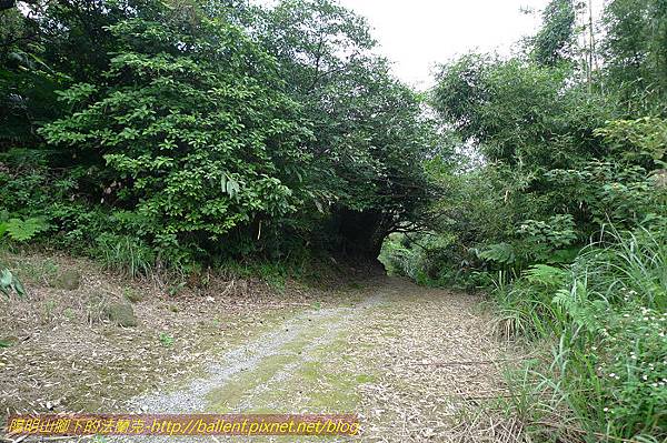 P1330678.jpg P1330678.jpg