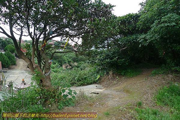 P1330680.jpg P1330680.jpg