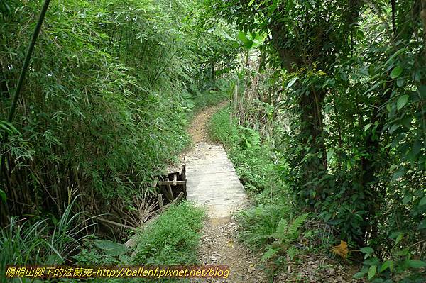 P1330682.jpg P1330682.jpg