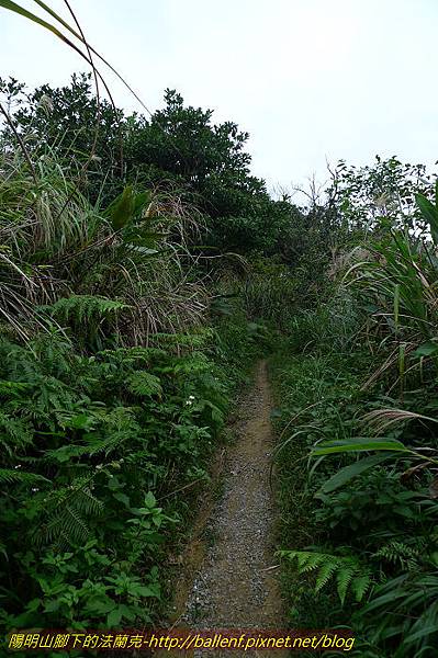 P1330683.jpg P1330683.jpg