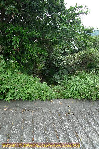 P1330689.jpg P1330689.jpg