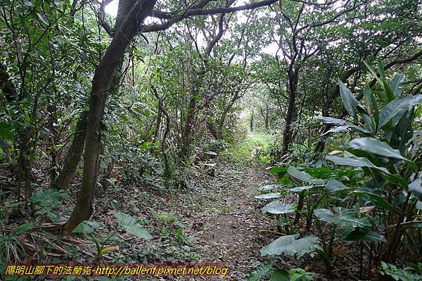 P1330690.jpg P1330690.jpg