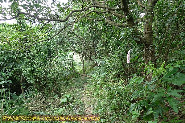 P1330692.jpg P1330692.jpg