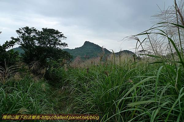 P1330694.jpg P1330694.jpg