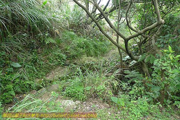 P1330695.jpg P1330695.jpg