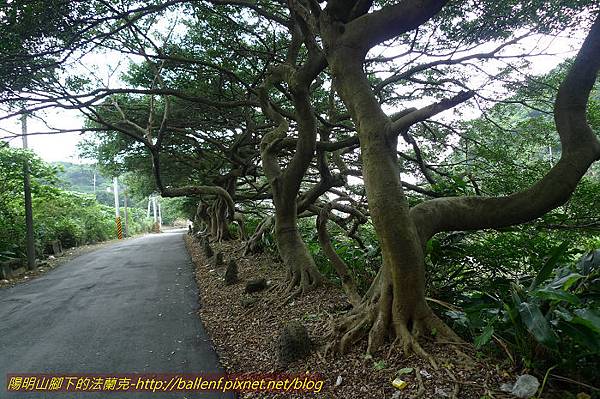 P1330701.jpg P1330701.jpg