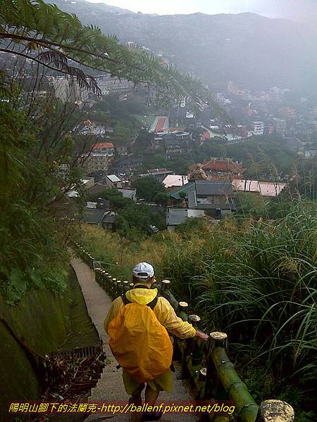 茶壼山 (48).jpg