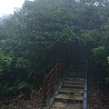 P1340227.jpg