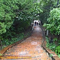 P1340263.jpg