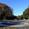P1340809.jpg