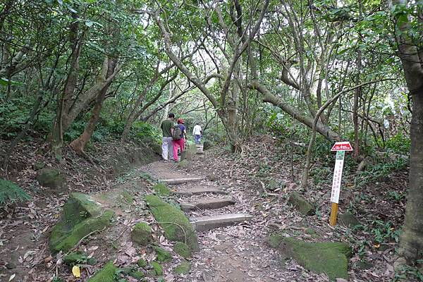 P1360086.JPG