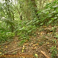 P1050093