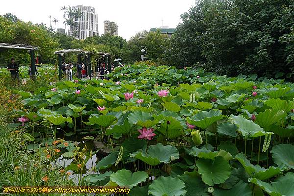 P1090149-2 P1090149-2