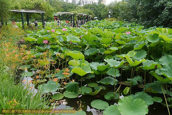 P1090149-3 P1090149-3