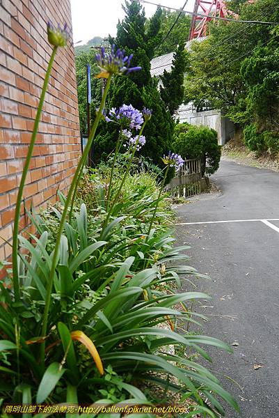 P1090377-1 P1090377-1