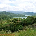P1100301