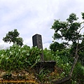 P1100308