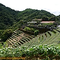P1100307-1