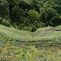 P1100319