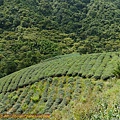 P1100320