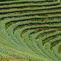 P1100323