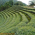 P1100327