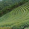 P1100328