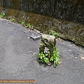 P1100438